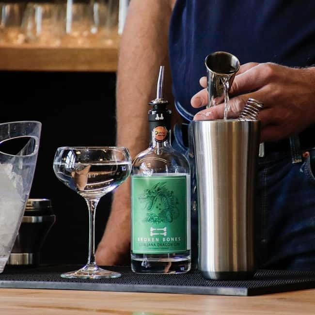 Ljubljana: Broken Bones Gin Experience with Cocktails - Who Should Consider This Experience?