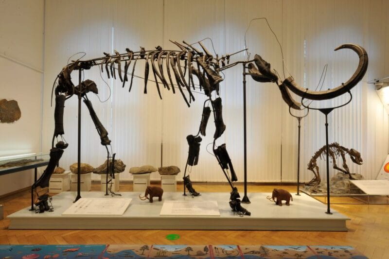 Ljubljana: City Card - Final Thoughts: Who Should Consider the Ljubljana City Card?