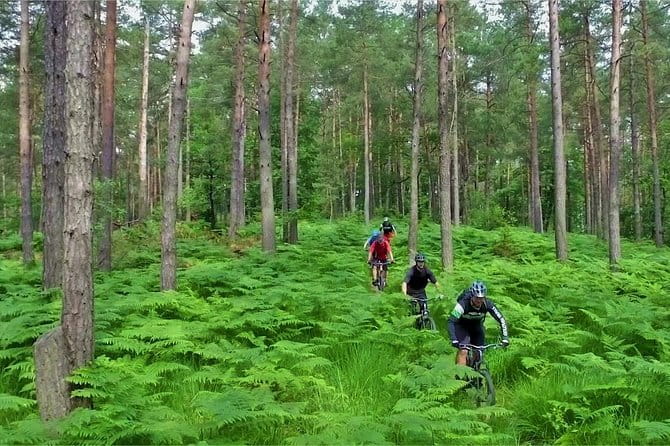Ljubljana MTB Capital - Health and Accessibility