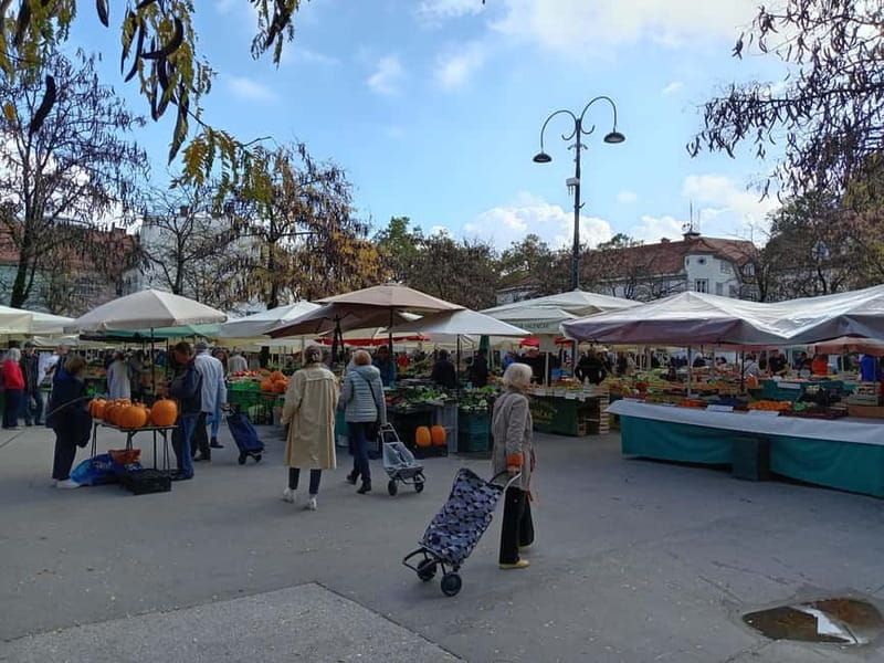Ljubljana: Old Town Guided Walking Tour in French - Who This Tour Is Perfect For
