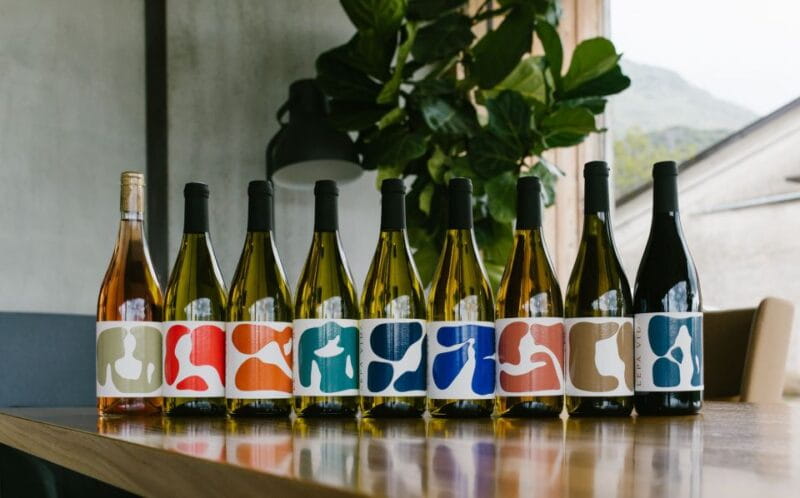 Ljubljana: Private Family-Owned Vineyard Wine Tasting Trip - Scenic drive and regional insights