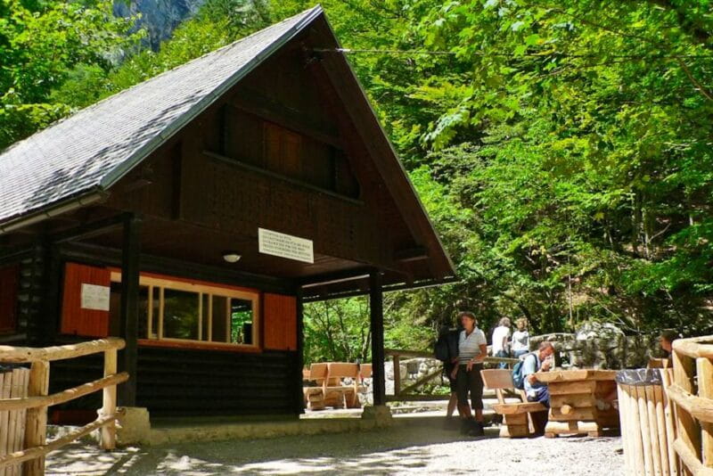 Ljubljana: Savica Waterfall, Lake Bohinj, and Lake Bled Tour - Key Points / Takeaways