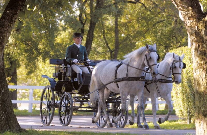 Ljubljana: UNESCO-Listed kocjan Caves and Piran Day Trip - FAQ