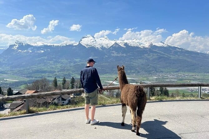 Llama hike with homemade, traditional cheese fondue - A Unique Llama Adventure in the Mountains of Liechtenstein