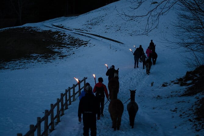 Llama hike with homemade, traditional cheese fondue - Frequently Asked Questions