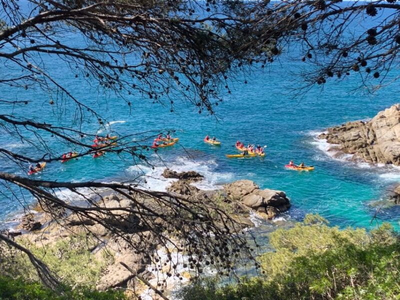 Lloret de Mar: 3-Hour Kayak and Snorkel Tour on Costa Brava - Who Will Love This Tour?