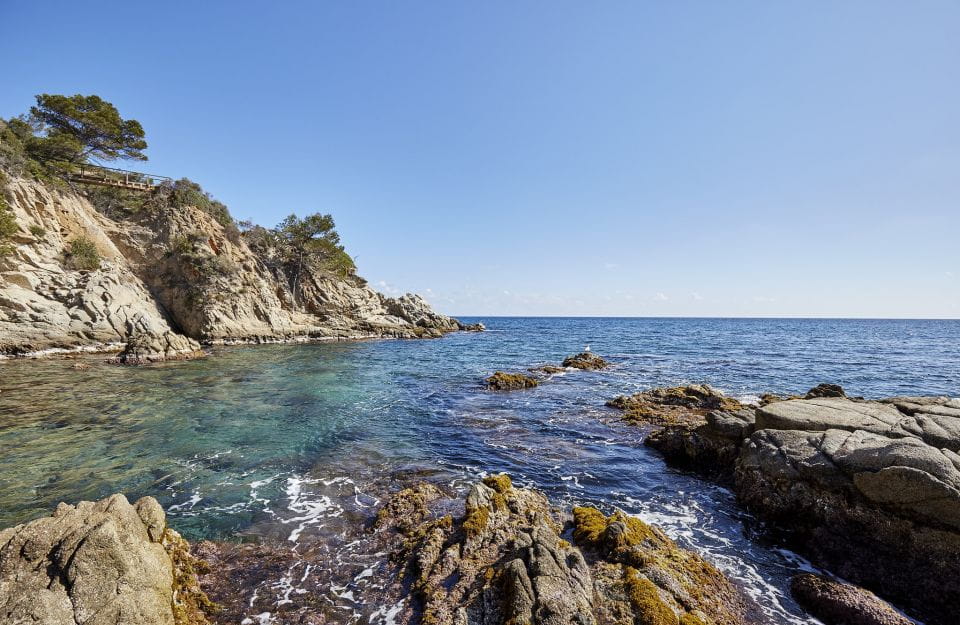 Lloret De Mar: Costa Brava Kayak Tour and Swimming - Safety Guidelines and Restrictions