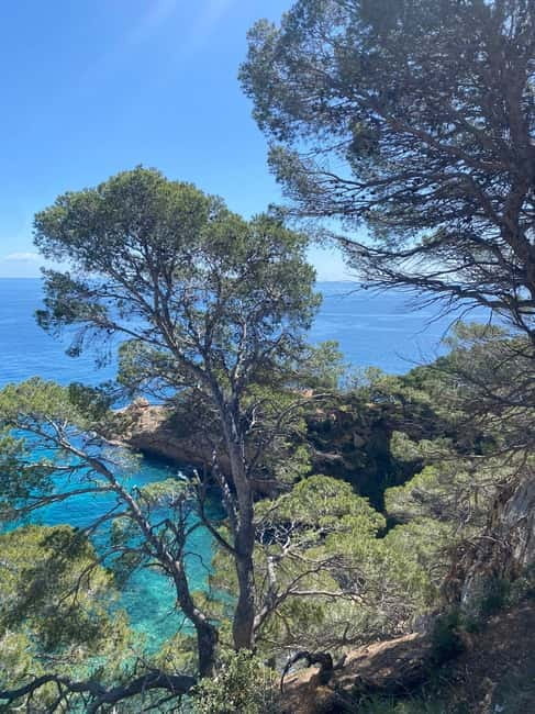 Lloret de Mar: Guided Sightseeing Tour in a 4x4 Vehicle - The Sum Up: A Scenic, Authentic Ride