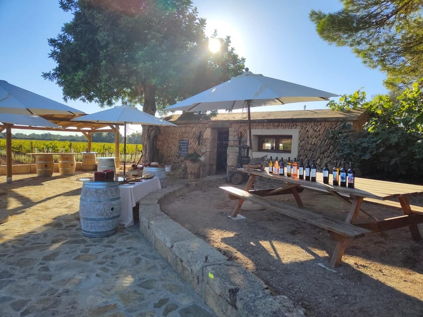 Llucmajor: Bodegas Bordoy Wine Tour With Lunch - Highlights of the Experience