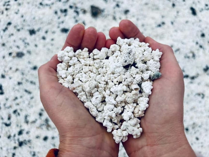 Lobos Island, Popcorn Beach, & Dunes Tour - Key points / Takeaways