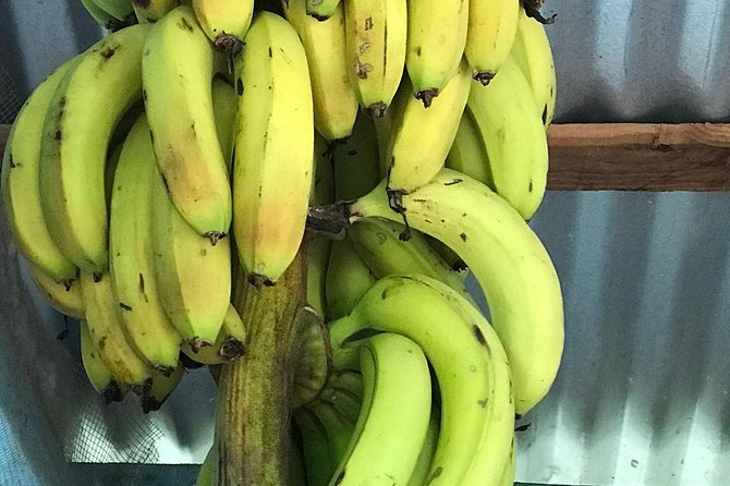 Local Food Tour and Local Fields - Tour Overview