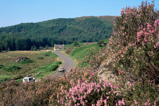 Loch Lomond National Park & Stirling Castle Full Day Tour - Introduction: A Solid Choice for a Full-Day Scottish Adventure