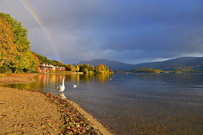 Loch Lomond National Park & Stirling Castle Full Day Tour - A Deep Dive into the Full-Day Experience