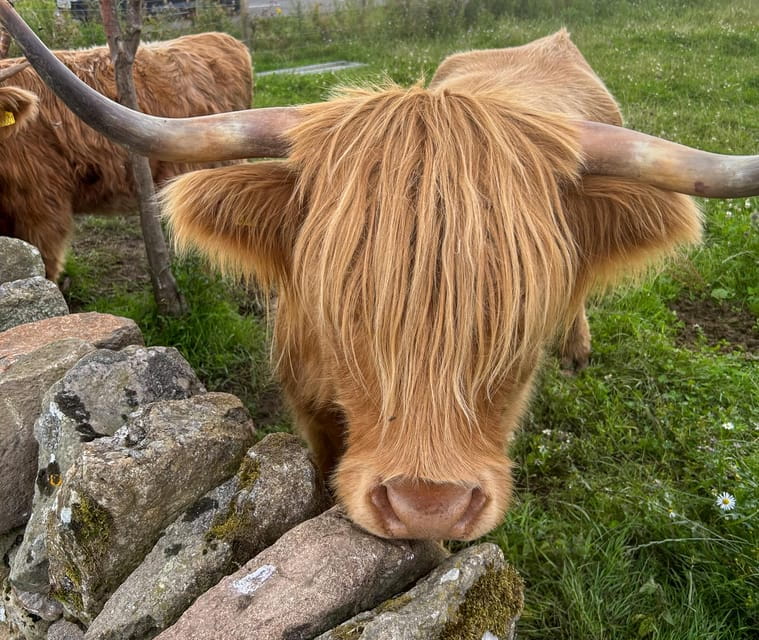 Loch Lomond, Stirling Castle and the Kelpies: Private Tour - Who Is This Tour Best Suited For?