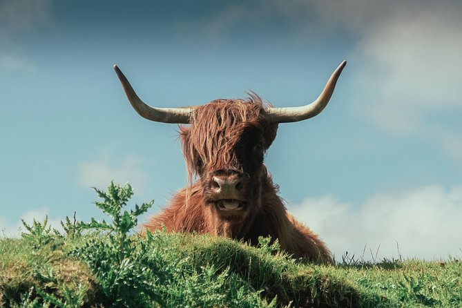 Loch Ness, Glen Coe & the Highlands Day Tour From Edinburgh - Local English-speaking Guides Expertise