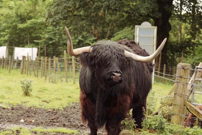 Loch Ness, Glencoe and the Scottish Highlands Tour From Edinburgh - Meeting and Pickup