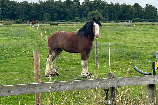 Loch Ness Tour: Day Trip to Loch Ness, Outlander Sites and More - Practical Details: What You Need to Know