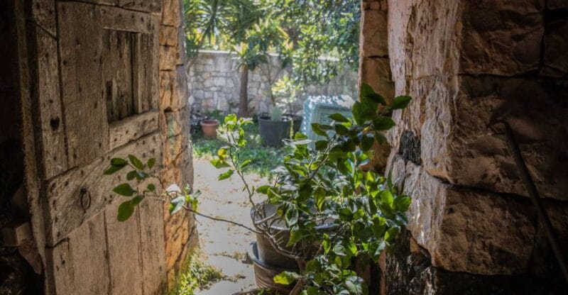 Locorotondo: Guided E-bike Tour with Olive Oil Tasting - FAQ