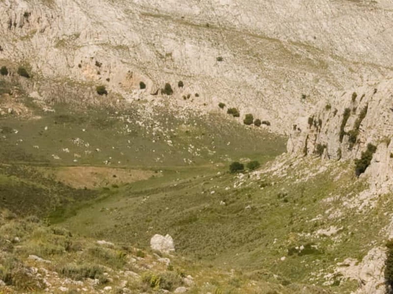 Lodè: Trekking Trip to Punta Cupeti on Montalbo - Who Is This Tour Best For?