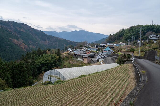 Lodging Plans With Gibier Cuisine / Tokushima, Shikoku - Inclusions and What to Expect