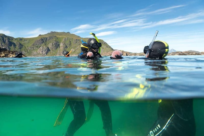 Lofoten: Family Snorkeling Tour - Key Points / Takeaways