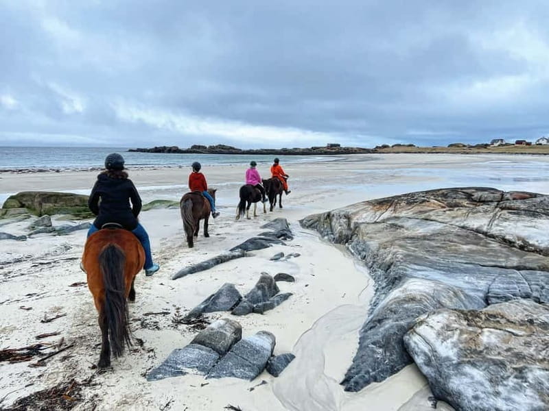 Lofoten: Guided Horse Riding Tour Over Hov and Hovsund - Key points / Takeaways