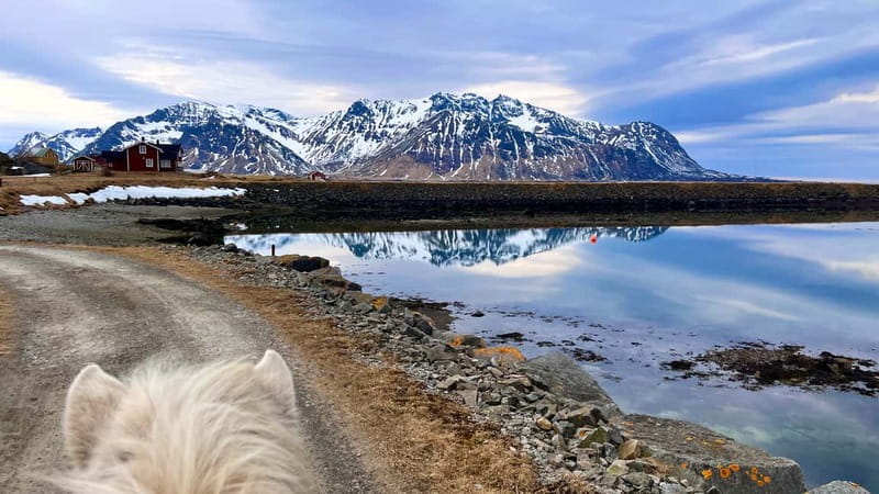 Lofoten: Guided Horse Riding Tour Over Hov and Hovsund - An In-Depth Look at the Horse Riding Experience in Lofoten