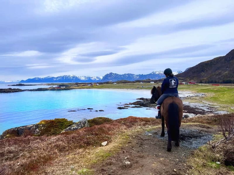 Lofoten: Guided Horse Riding Tour Over Hov and Hovsund - The Sum Up: A Scenic, Cultural, and Relaxing Ride in Lofoten
