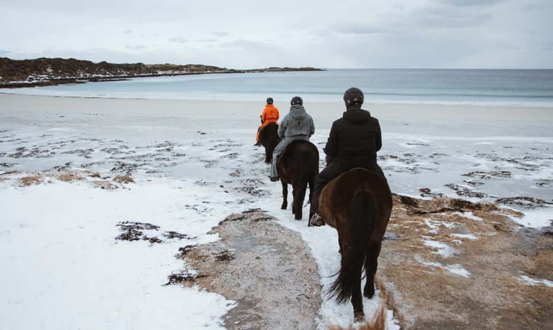 Lofoten: Guided Horse Riding Tour Over Hov and Hovsund - FAQ
