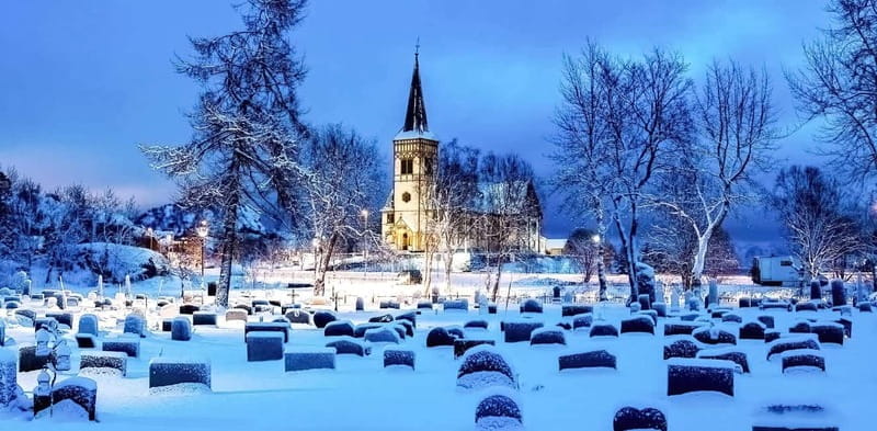 Lofoten: Half-Day Guided Tour with Photo Stops - Discovering Lofoten: A Half-Day Guided Tour with Photo Opportunities