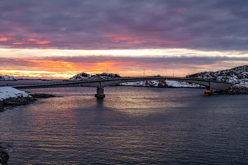 Lofoten: Half-Day Guided Tour with Photo Stops - Who Will Love This Tour?