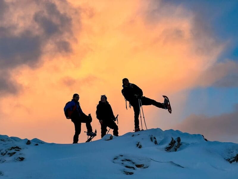Lofoten: Half Day Snowshoe Tour - Logistics, Price, and Value