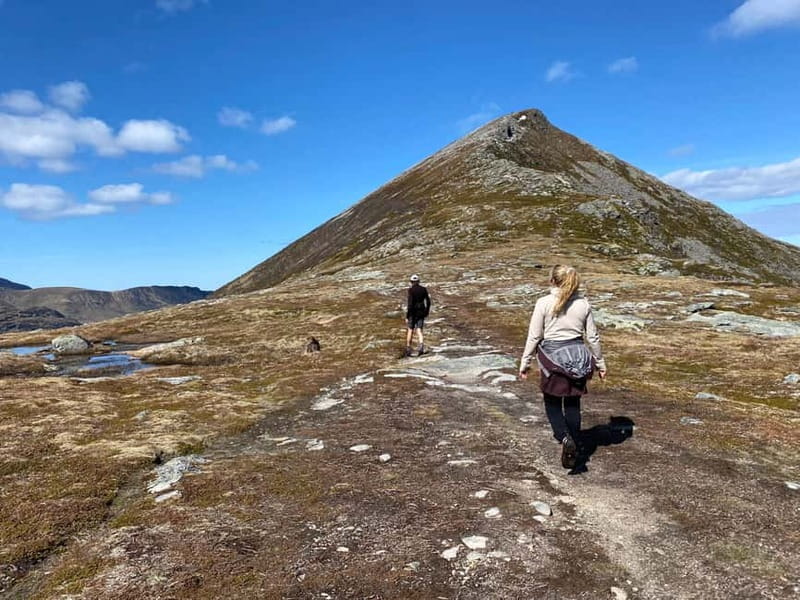 Lofoten Islands: Guided Hiking Into the Wilderness-Easy Tour - Exploring the Lofoten Islands: A Guided Easy Hiking Experience