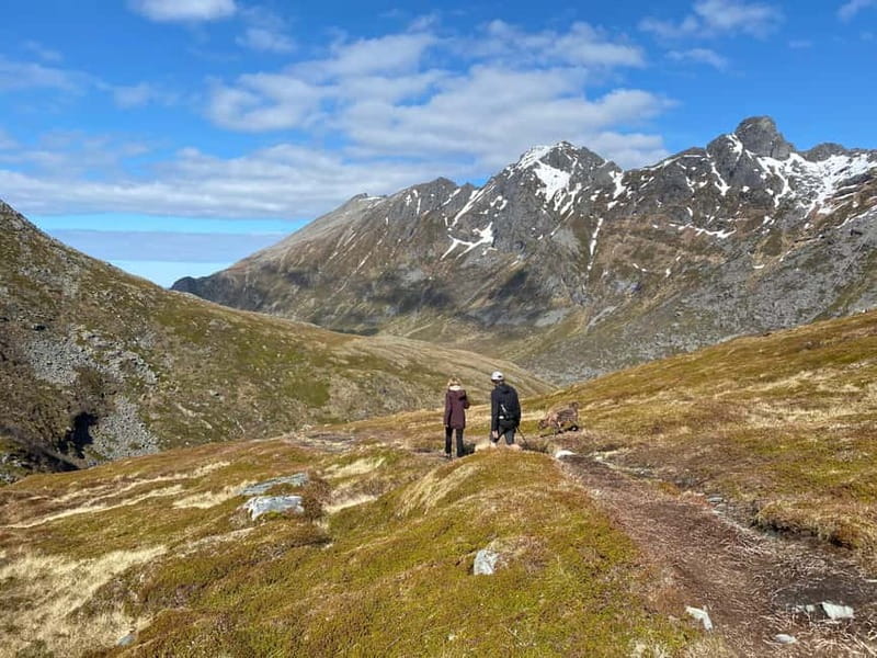 Lofoten Islands: Guided Hiking Into the Wilderness-Easy Tour - Key Points / Takeaways