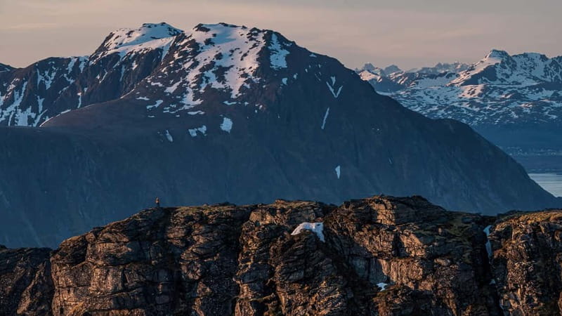 Lofoten Islands: Guided Hiking Into the Wilderness-Easy Tour - In-Depth Look at the Itinerary