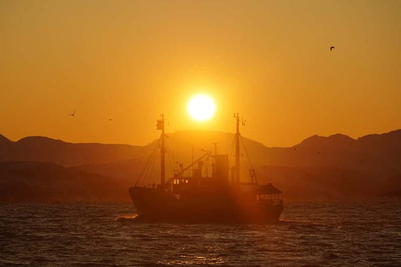 Lofoten Islands: Skrova Dinner Cruise - Price and Logistics