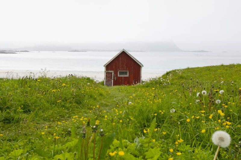 Lofoten: Private tour for cruise visitors (from Leknes) - FAQ