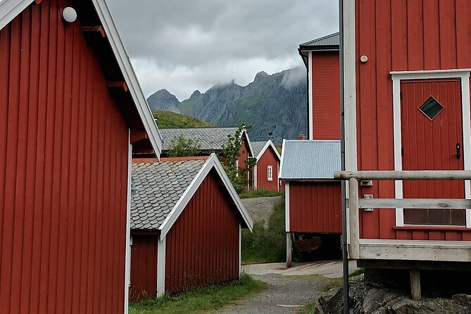 Lofoten PRIVATE Tour From Leknes - Small Group (1-4 Pax) - Wheelchair Accessibility