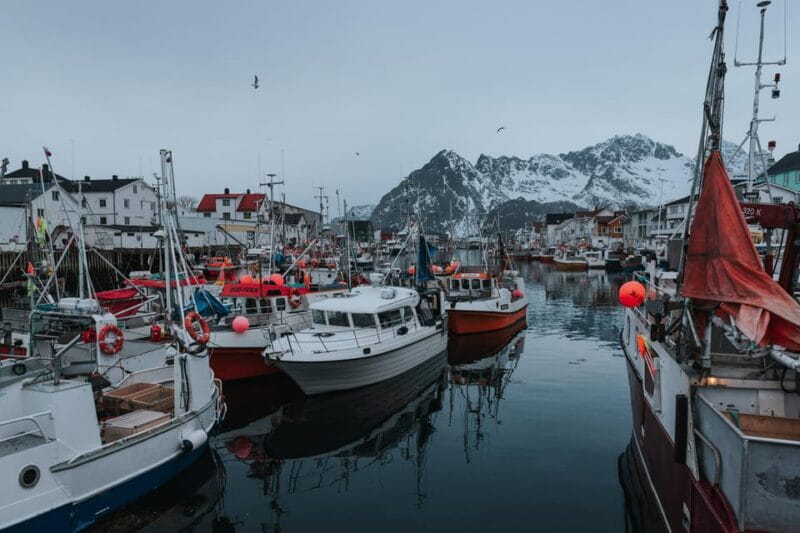 Lofoten Scenic Sightseeing Tour: Half day tour - A Deep Dive into the Itinerary