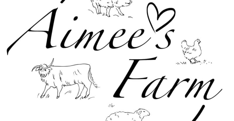 Lofoten (Stamsund and Leknes): Aimees Farm Experience - Key Points / Takeaways