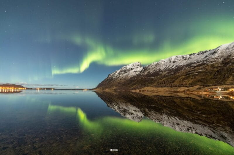 Lofoten: The Aurora Jæger  Northern Lights Hunt with Local - Exploring the Experience in Detail