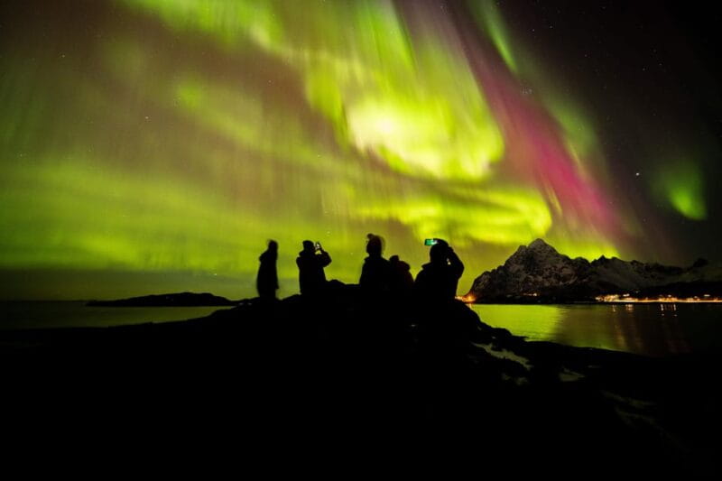 Lofoten: The Aurora Jæger  Northern Lights Hunt with Local - Final Thoughts: The Real Deal for Aurora Enthusiasts