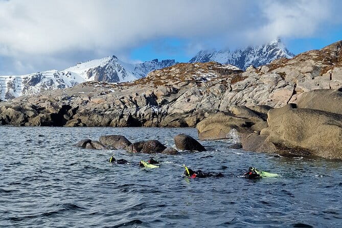 Lofoten Unique Snorkeling Experience in Dry Suit - Exploring the Arctic Waters of Lofoten: A Complete Guide