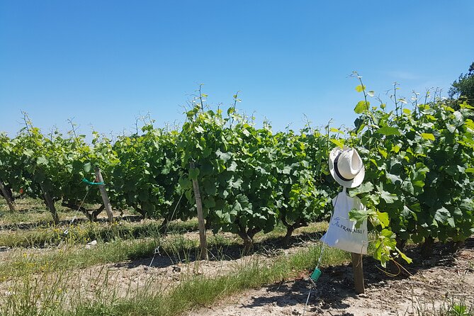 Loire Valley Day From Tours: Azay-Le-Rideau, Villandry, Winery - Meeting Point and Departure