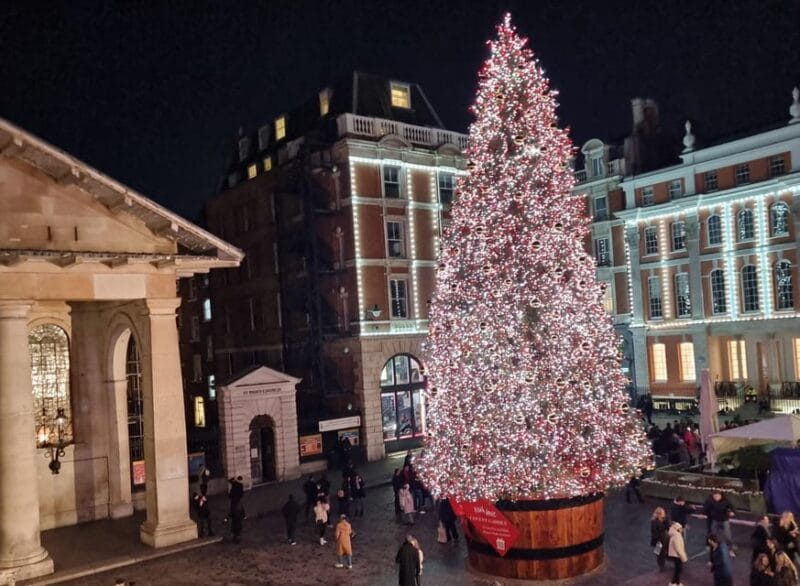 London: Christmas Lights Guided Walking Tour - Key Points & Takeaways