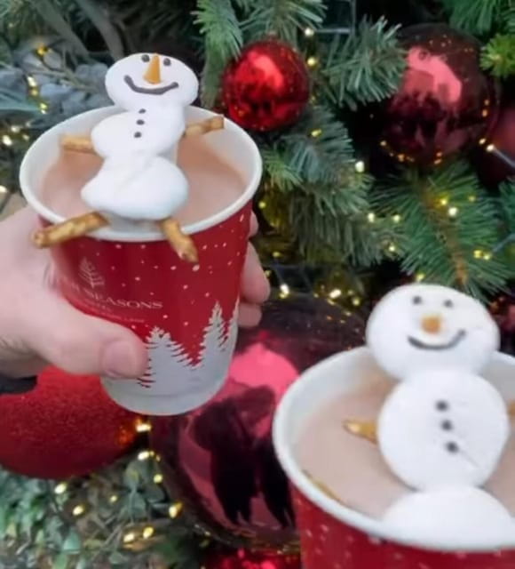 London: Christmas Lights Guided Walking Tour - The Sum Up: A Festive Walk Worth Taking