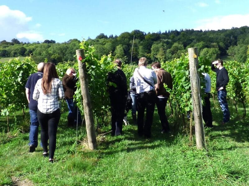 London: Full-Day English Wine Tour with Lunch - Who Should Consider This Tour?