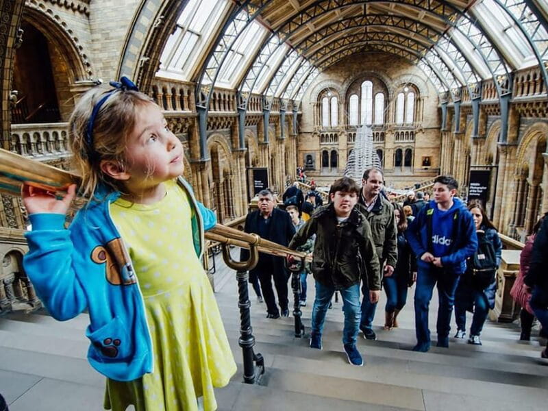 London: Guided Exploration at the Museum of Natural History - Practical Details and Why They Matter