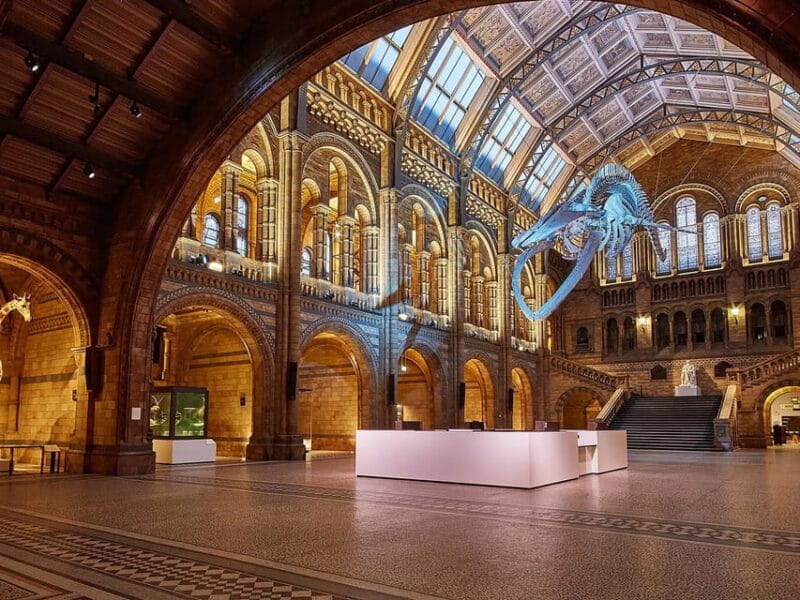 London: Guided Tour of Natural Marvels - Key points / Takeaways