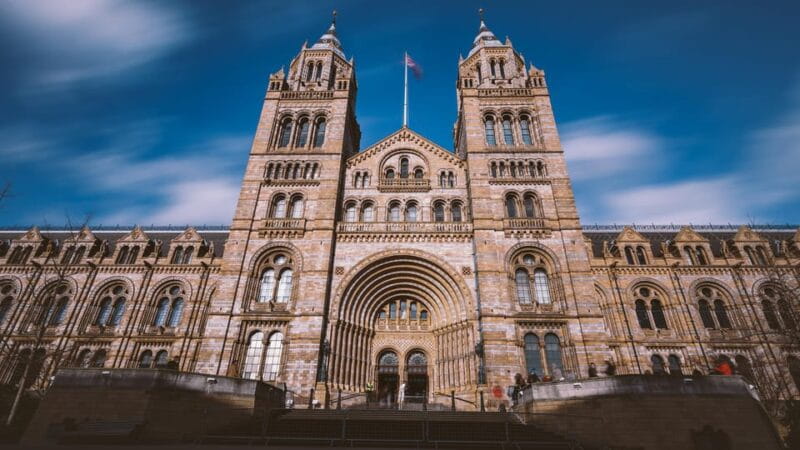 London: Guided Tour of the Natural History Museum - Exploring the Natural History Museum: A Deep Dive